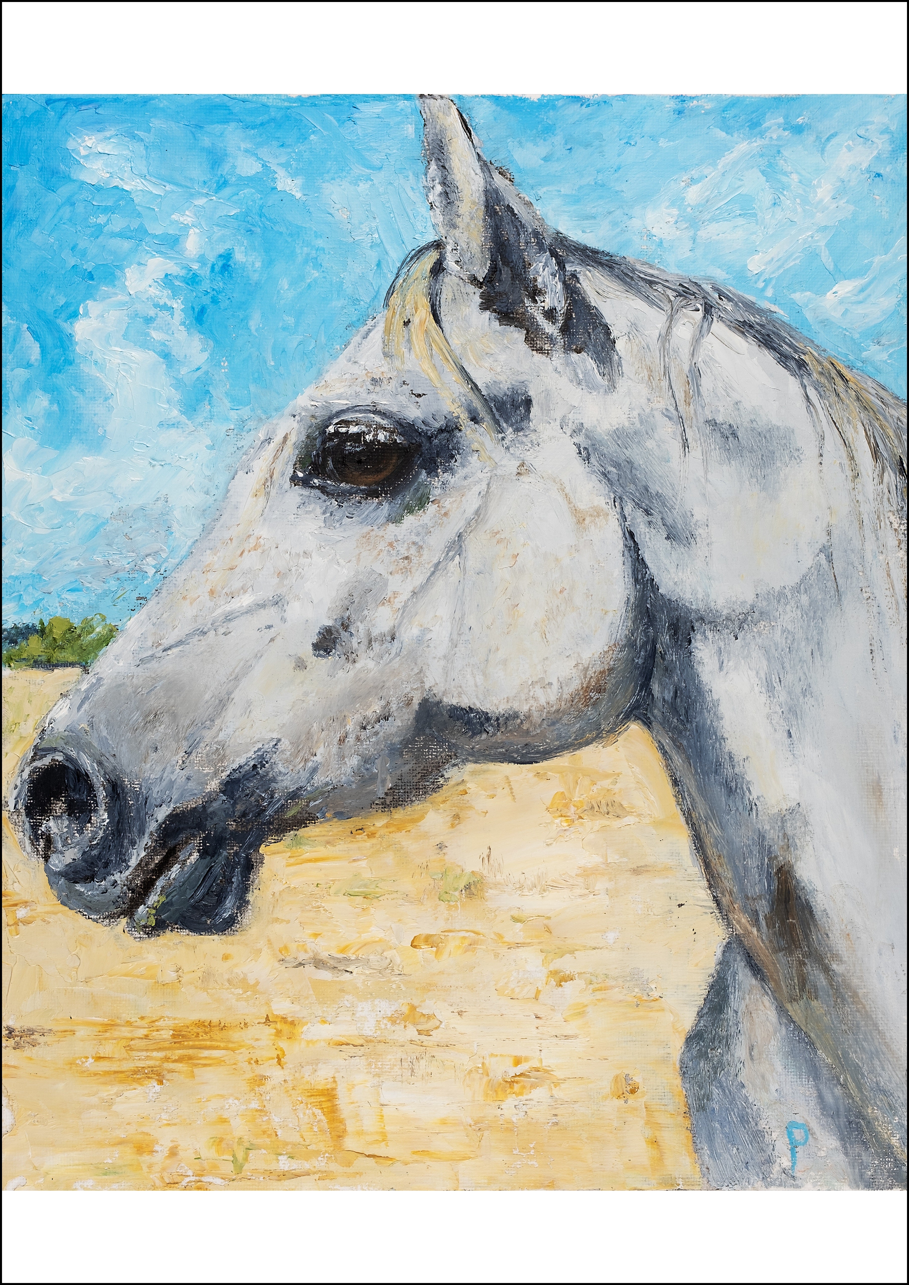 Jale - Contemporary Grey Horse Portrait by Linda Westall