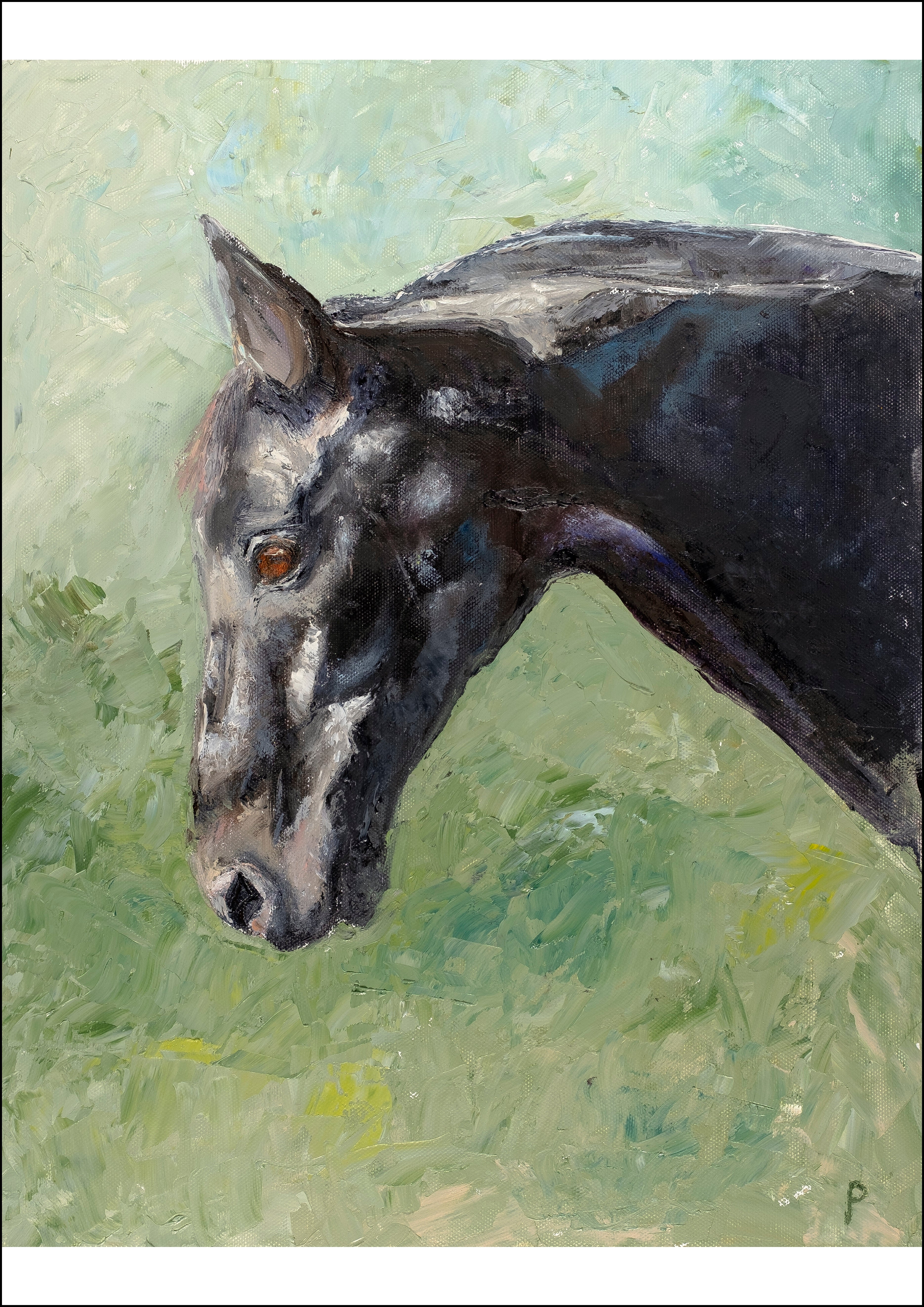 Tiemore - Horse Portrait Print for Sale